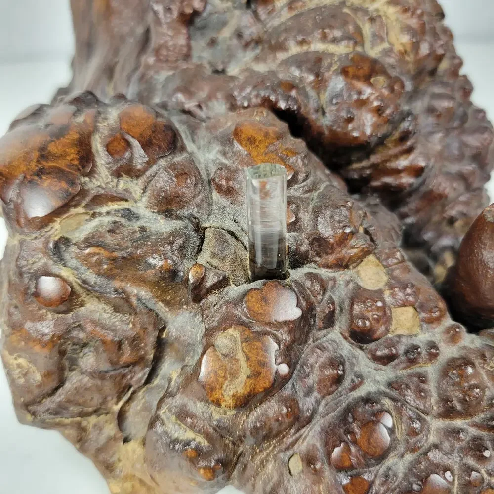 Vintage Oil Candle Lamp Burl Root Designs Glass Lantern Wood Base MCM Retro